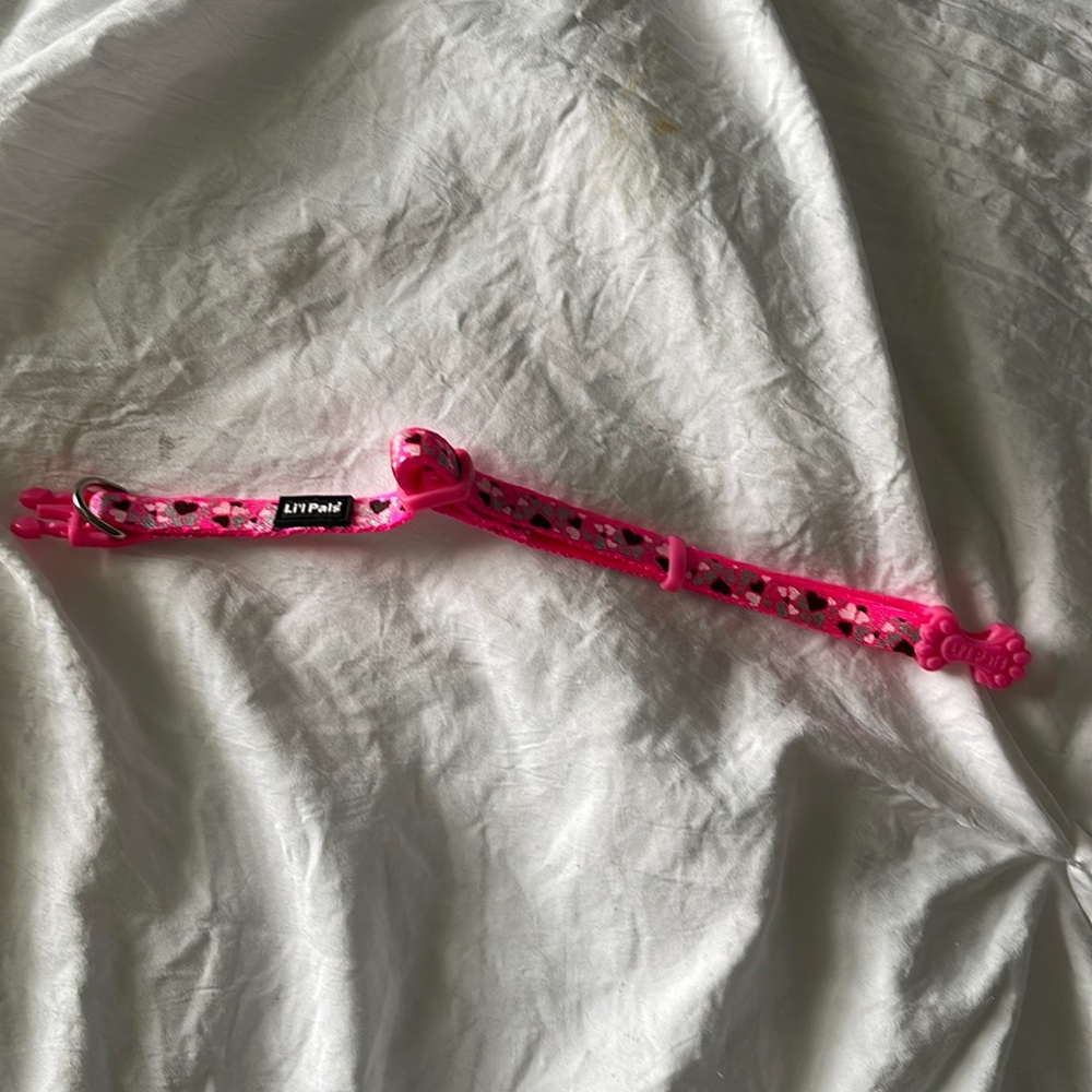 XS pink collar